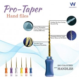 Waldent ProTaper Hand Files 25mm Assorted SX-F3 (Gold)