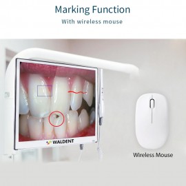 Waldent Intraoral Camera with Monitor & mouse - WALCAM