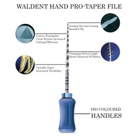 Waldent ProTaper Hand Files