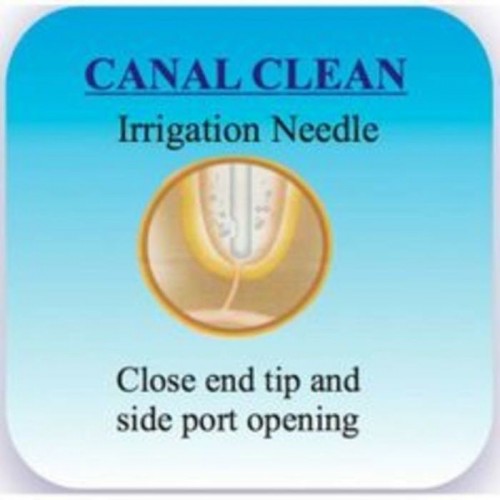 Ammdent Canal Clean Irrigation Needles (Improved)
