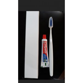 Paper Box Dental Kit With Tooth Paste And Tooth Brush