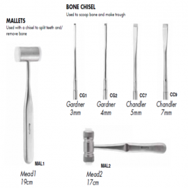 Gdc Bone Chisel And Malle..