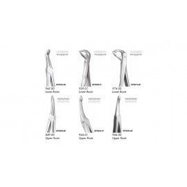 Gdc Extraction Forceps Secure