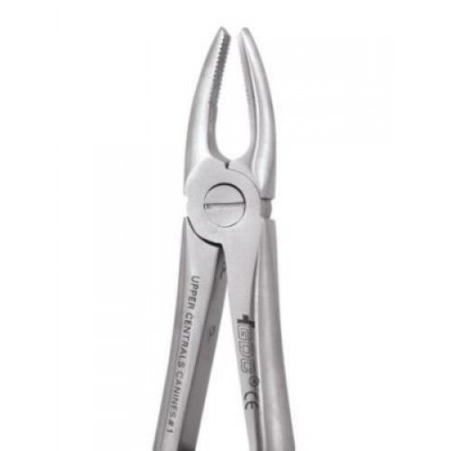 Gdc Extraction Forceps Upper Anteriors - 1 Standard (Fx1s)