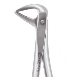 Gdc Extraction Forceps Secure