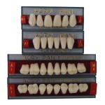Ruthinium Acry Pan acrylic teeth Pk /4 full sets