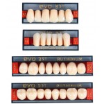 Ruthinium Acry Plus EVO - 3 Layer Acrylic teeth Full set of 28