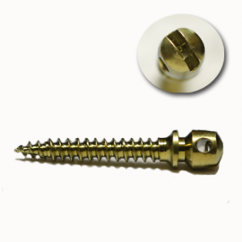SK Surgicals Orthodontic Screw Mini Titanium Implant (D 1.3 mm, L 6-11mm) Pack/4