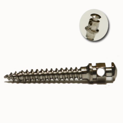 SK Surgicals Orthodontic Screw Mini - Pin Head Titanium Implant (D1.3-1.5mm,L 6-8mm) Pk/4