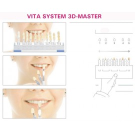 VITA Tooth Shade guide 3D-Master With Bleached Shades
